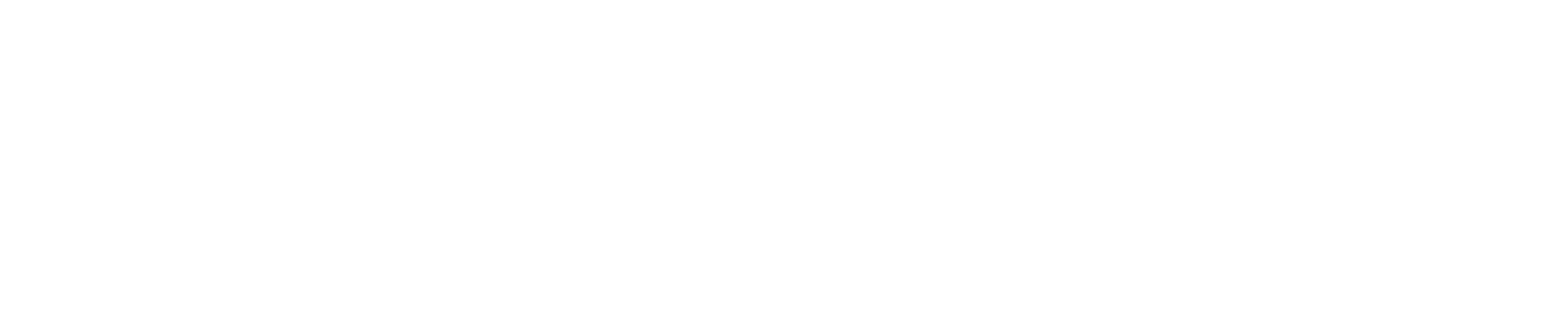 Ecare_logo_wit